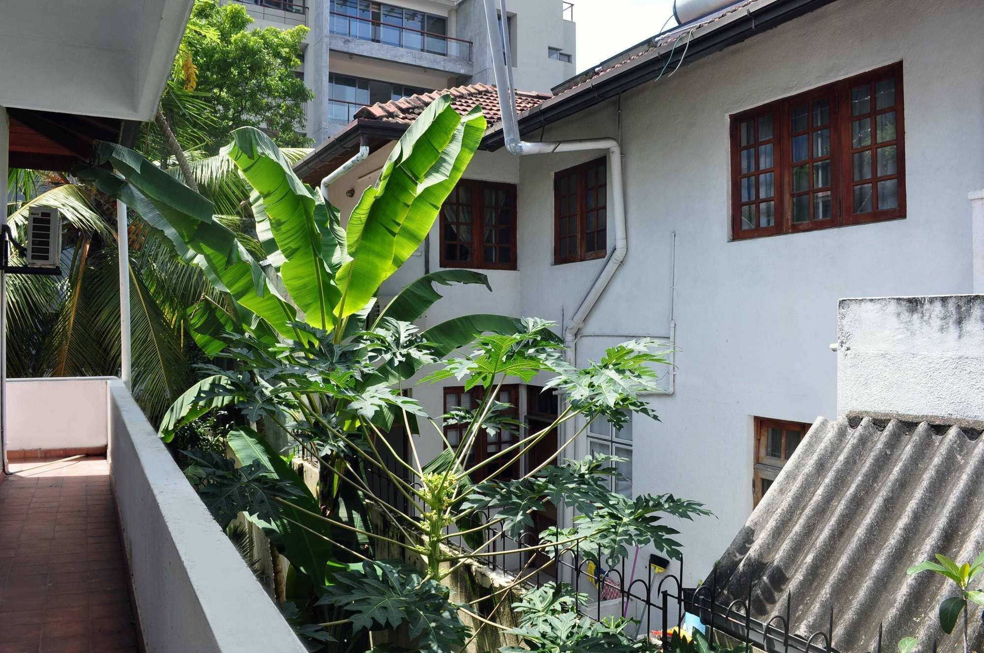 Olu Colombo Villa Extérieur photo